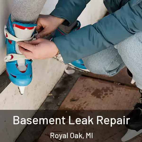  Basement Leak Repair Royal Oak, MI