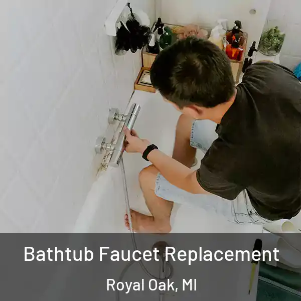  Bathtub Faucet Replacement Royal Oak, MI
