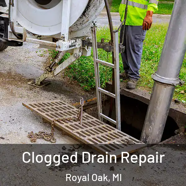  Clogged Drain Repair Royal Oak, MI