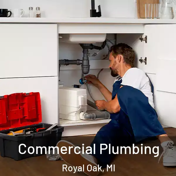  Commercial Plumbing Royal Oak, MI