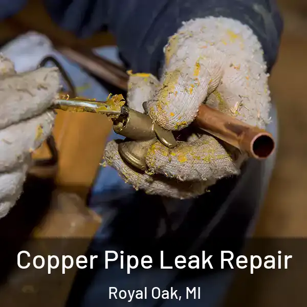  Copper Pipe Leak Repair Royal Oak, MI
