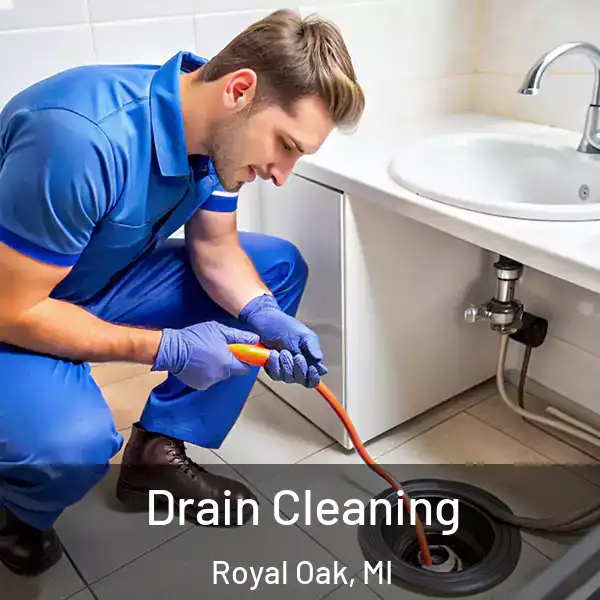  Drain Cleaning Royal Oak, MI