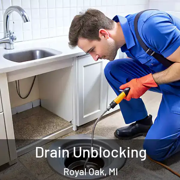  Drain Unblocking Royal Oak, MI