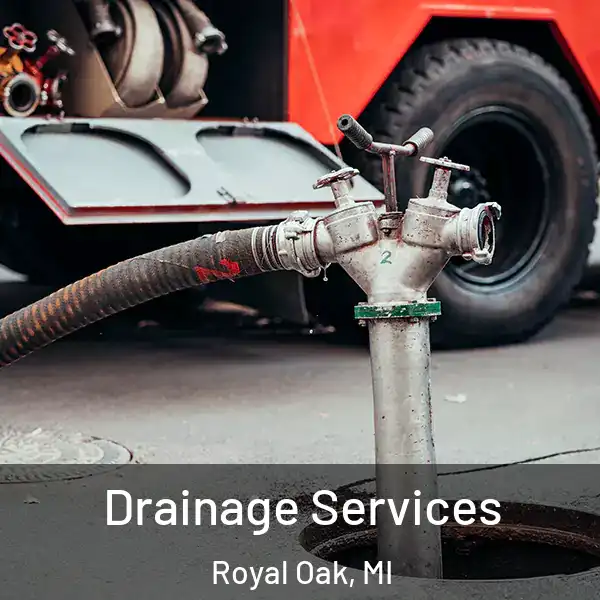  Drainage Services Royal Oak, MI