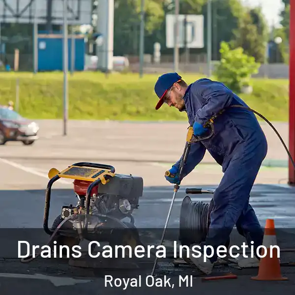  Drains Camera Inspection Royal Oak, MI