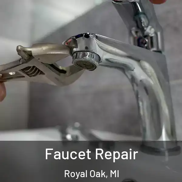  Faucet Repair Royal Oak, MI