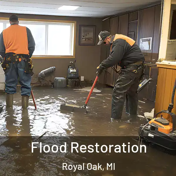  Flood Restoration Royal Oak, MI