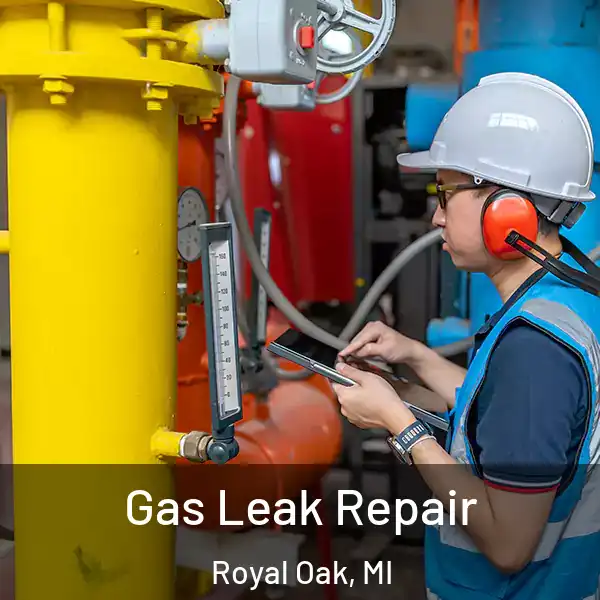  Gas Leak Repair Royal Oak, MI