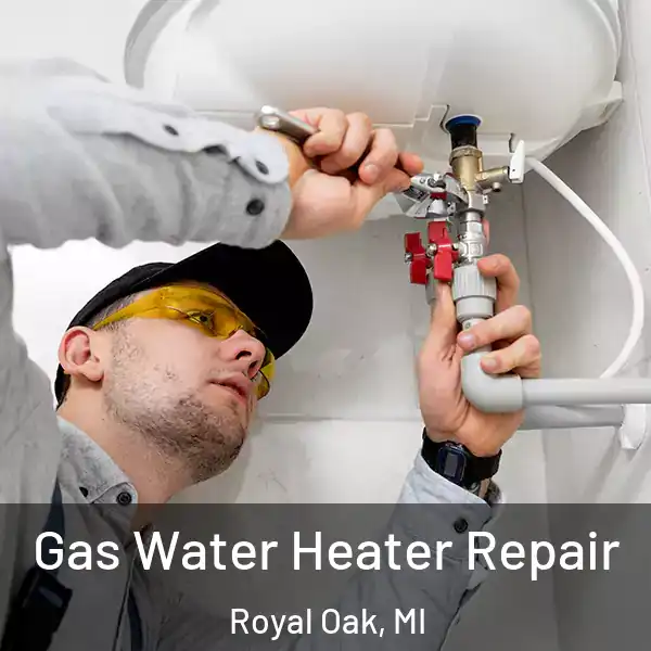  Gas Water Heater Repair Royal Oak, MI