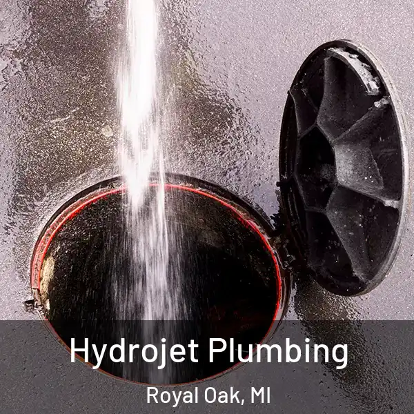  Hydrojet Plumbing Royal Oak, MI