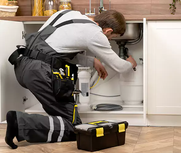 Certified Plumbers for Insinkerator Installation in Royal Oak