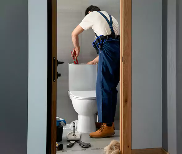 Professional Plumbers for Toilet Bowl Replacement in Royal Oak, MI: Schedule Affordable Toilet Replacement Services With Us