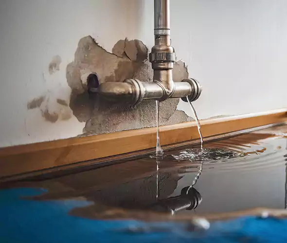 Professional Water Damage Restoration Experts in Royal Oak, MI — Fast, Reliable & Certified
