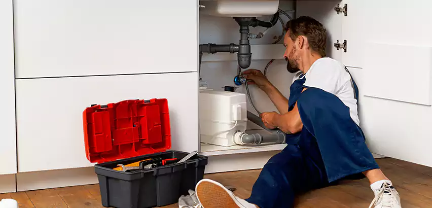 Reliable Garbage Disposal Replacement Services in Royal Oak, MI