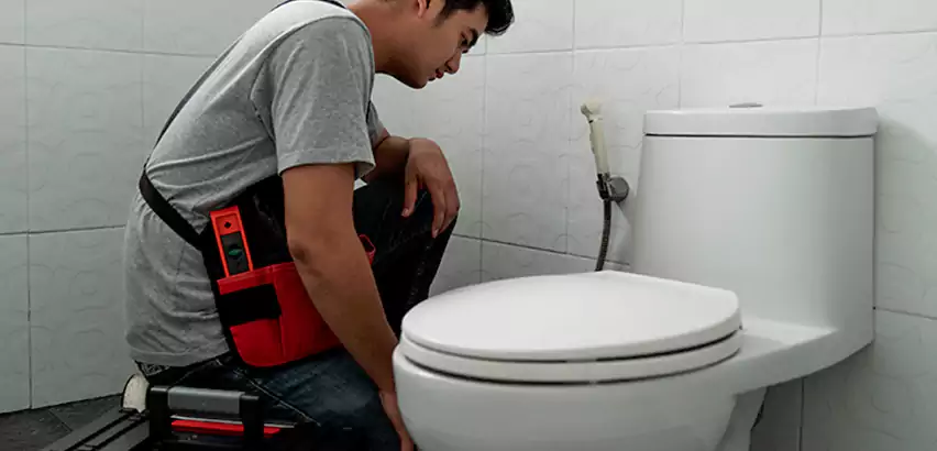 Toilet Repair in Royal Oak