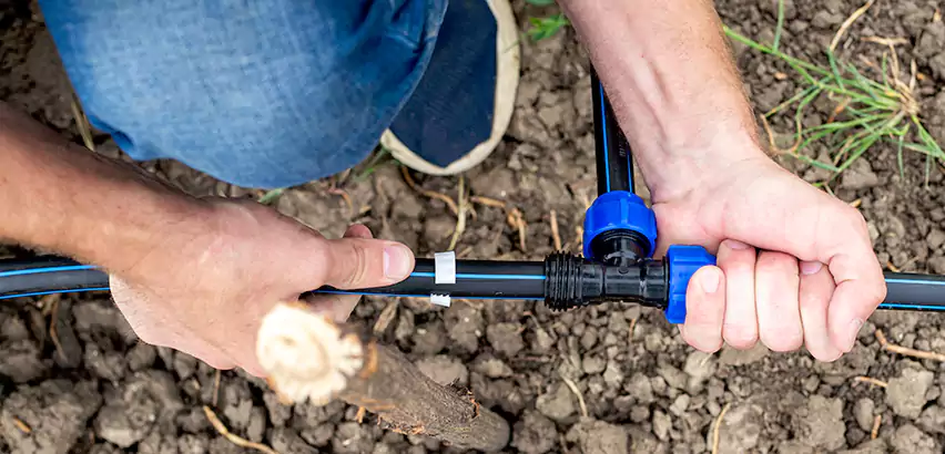 Irrigation Leak Detection in Royal Oak