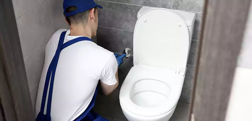 Toilet Lid Replacement in Royal Oak