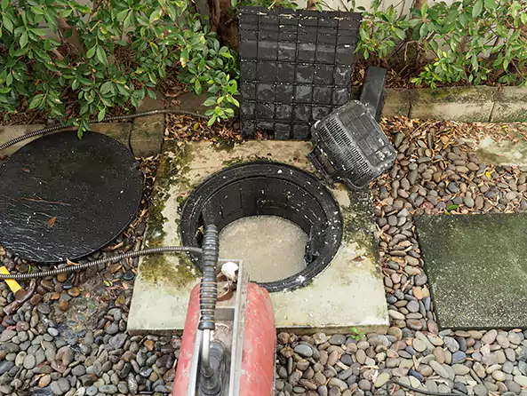 Why Choose Weltman Plumbing for Grease Trap Repair in Royal Oak, MI?
