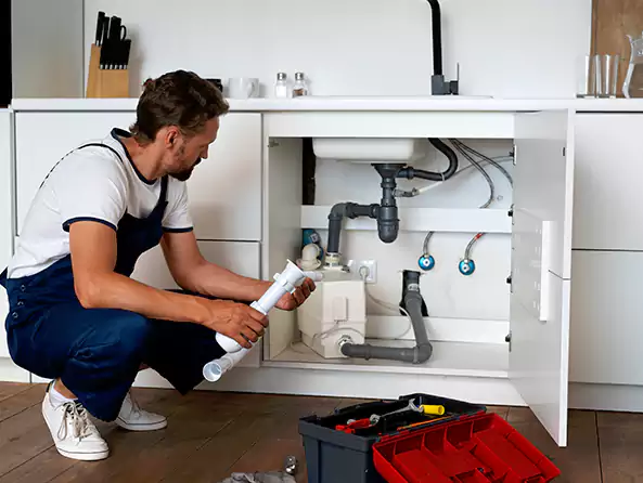 Why Choose Weltman Plumbing for Insinkerator Installation in Royal Oak, MI?