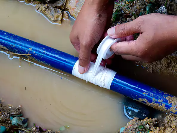  Why Choose Weltman Plumbing for Leak Detection in Royal Oak, MI?]
