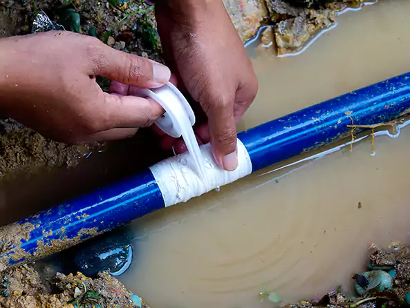 Why Choose Weltman Plumbing for Water Line Replacement in Royal Oak, MI?