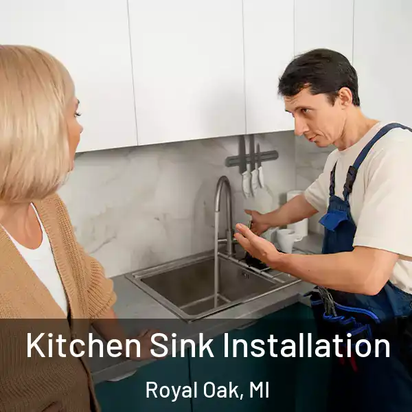  Kitchen Sink Installation Royal Oak, MI