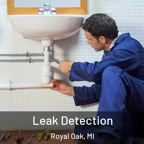  Leak Detection Royal Oak, MI