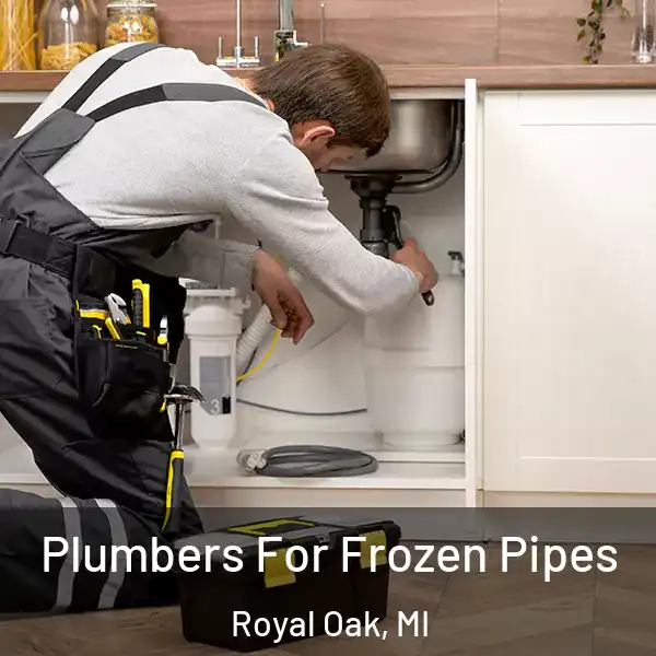  Plumbers For Frozen Pipes Royal Oak, MI