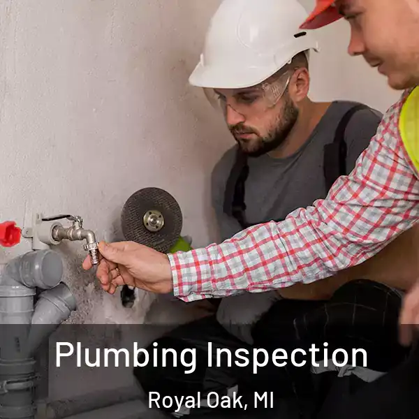  Plumbing Inspection Royal Oak, MI