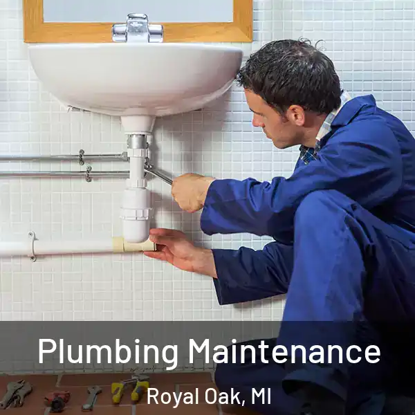  Plumbing Maintenance Royal Oak, MI