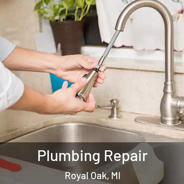  Plumbing Repair Royal Oak, MI