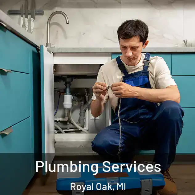  Plumbing Services Royal Oak, MI