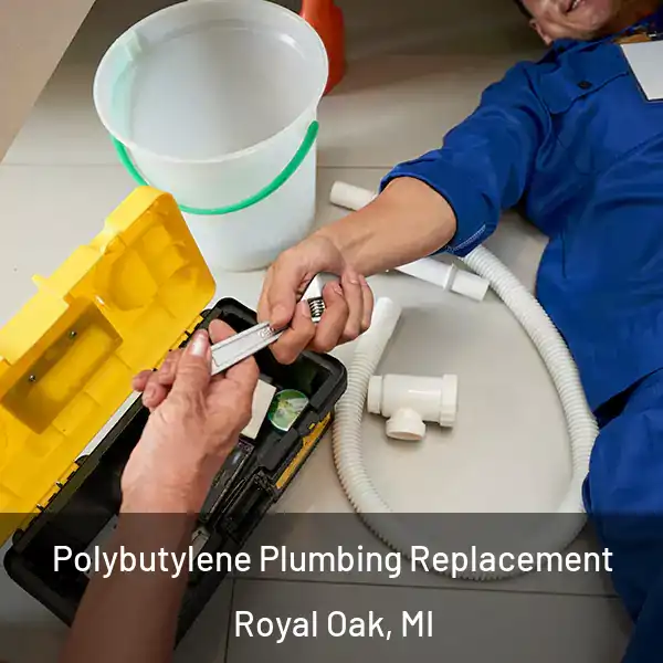  Polybutylene Plumbing Replacement Royal Oak, MI