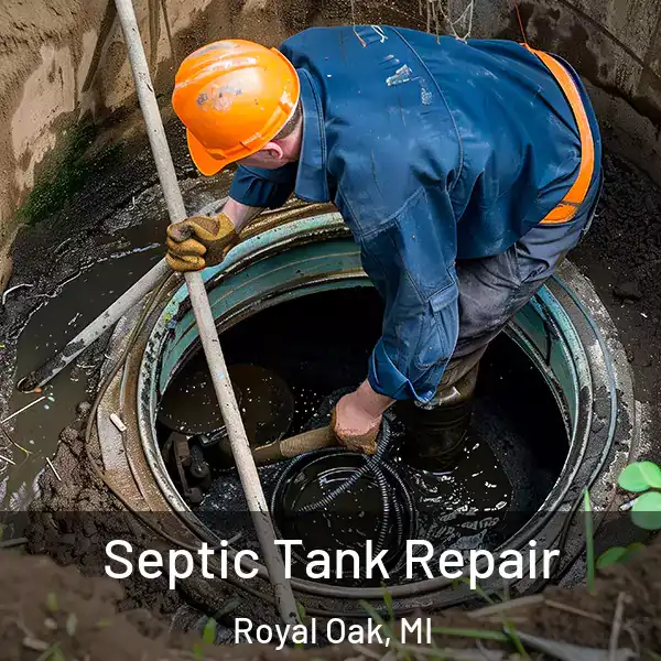 Septic Tank Repair Royal Oak, MI