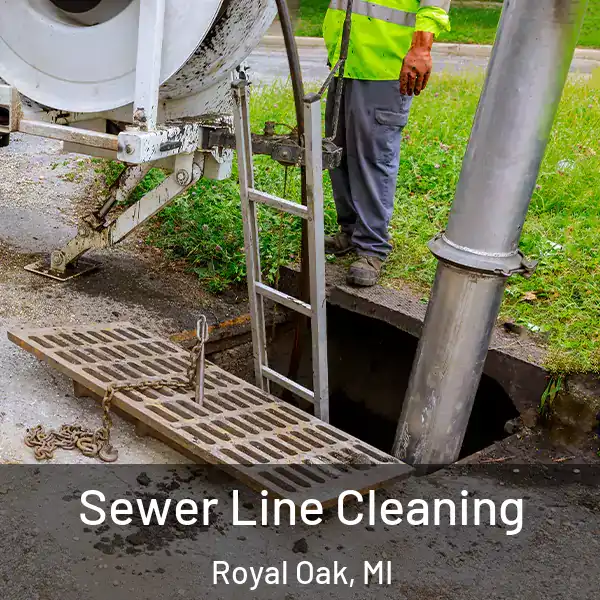  Sewer Line Cleaning Royal Oak, MI