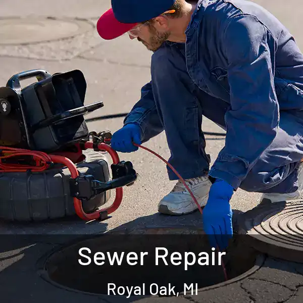  Sewer Repair Royal Oak, MI