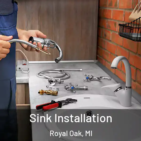  Sink Installation Royal Oak, MI