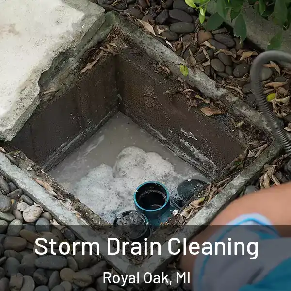  Storm Drain Cleaning Royal Oak, MI