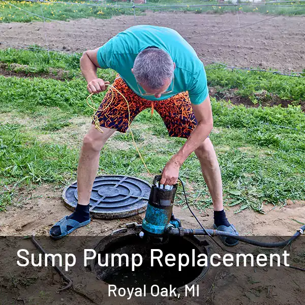  Sump Pump Replacement Royal Oak, MI