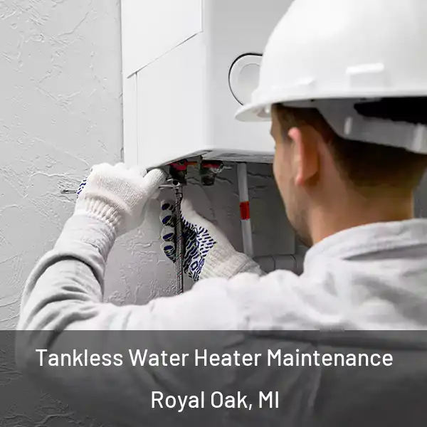  Tankless Water Heater Maintenance Royal Oak, MI