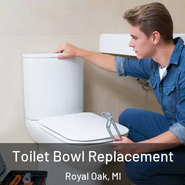  Toilet Bowl Replacement Royal Oak, MI