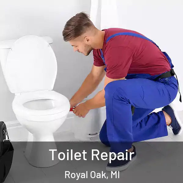  Toilet Repair Royal Oak, MI