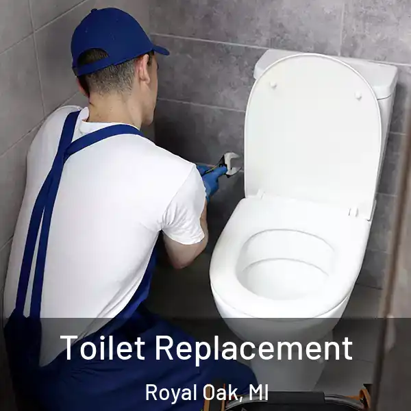  Toilet Replacement Royal Oak, MI
