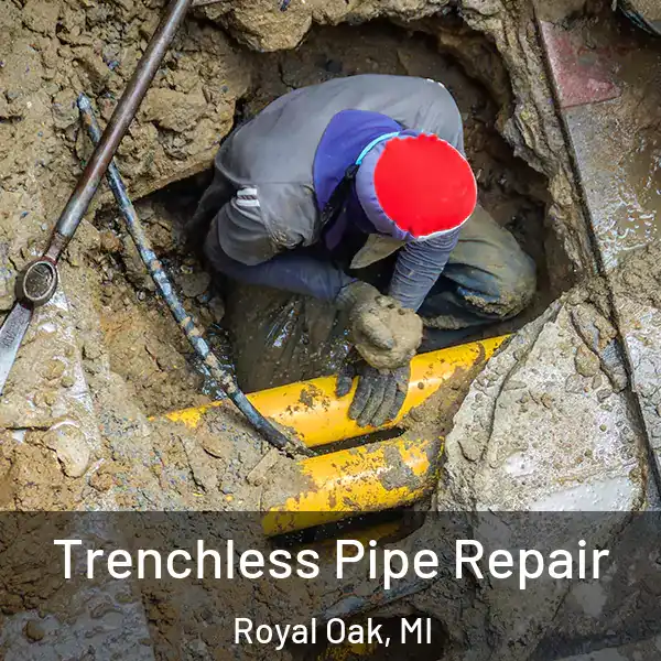  Trenchless Pipe Repair Royal Oak, MI
