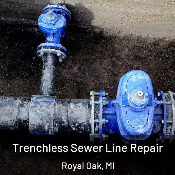  Trenchless Sewer Line Repair Royal Oak, MI