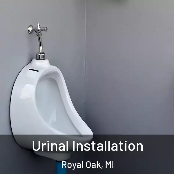  Urinal Installation Royal Oak, MI