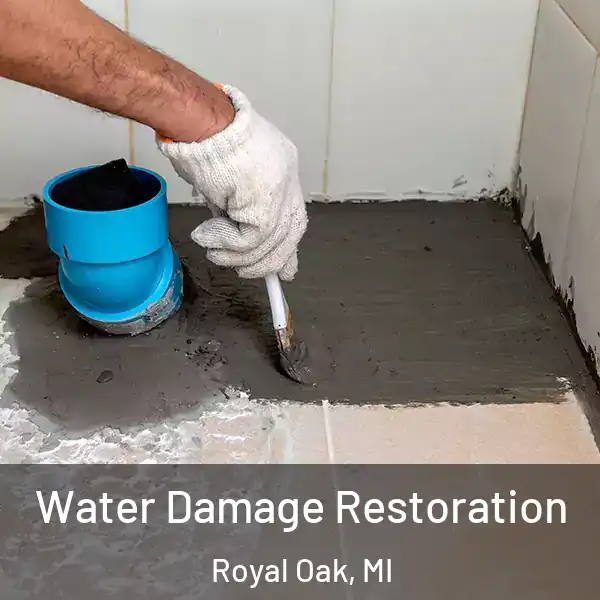  Water Damage Restoration Royal Oak, MI