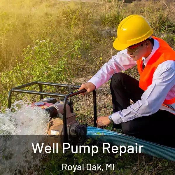  Well Pump Repair Royal Oak, MI