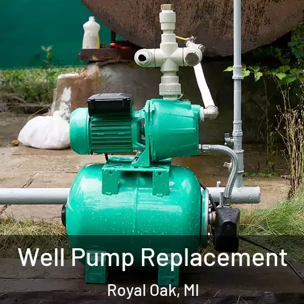  Well Pump Replacement Royal Oak, MI